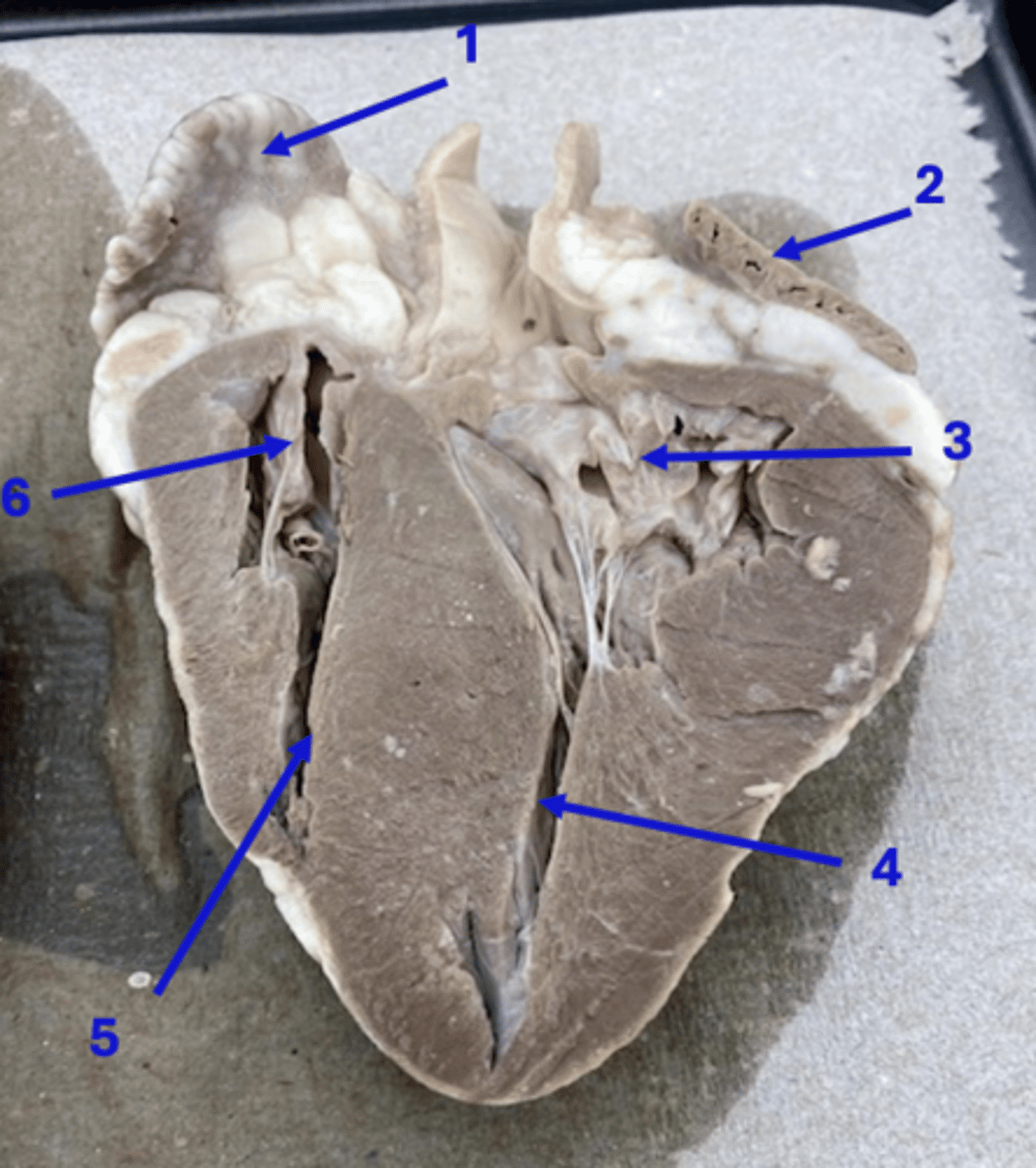 <p>3</p>