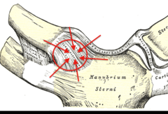 <p>identify the structure</p>