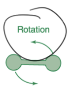 <p>rotation</p>