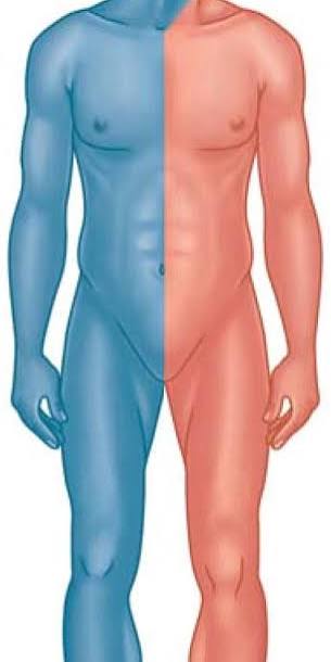 <p>Right color</p>