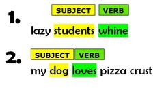 <p>A group of words with a subject and an action.</p>