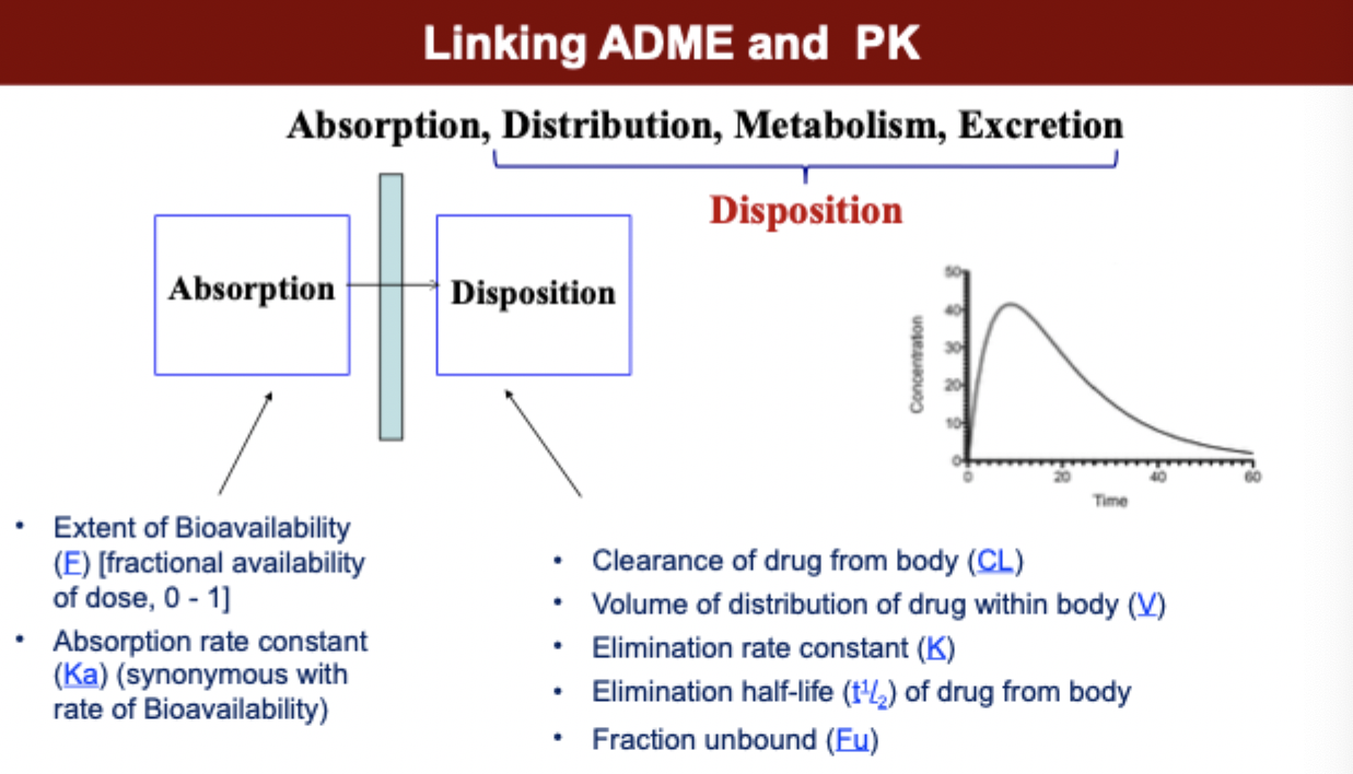 <p>linking of ADME and PK</p>
