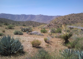 <p>Desert biomes </p>