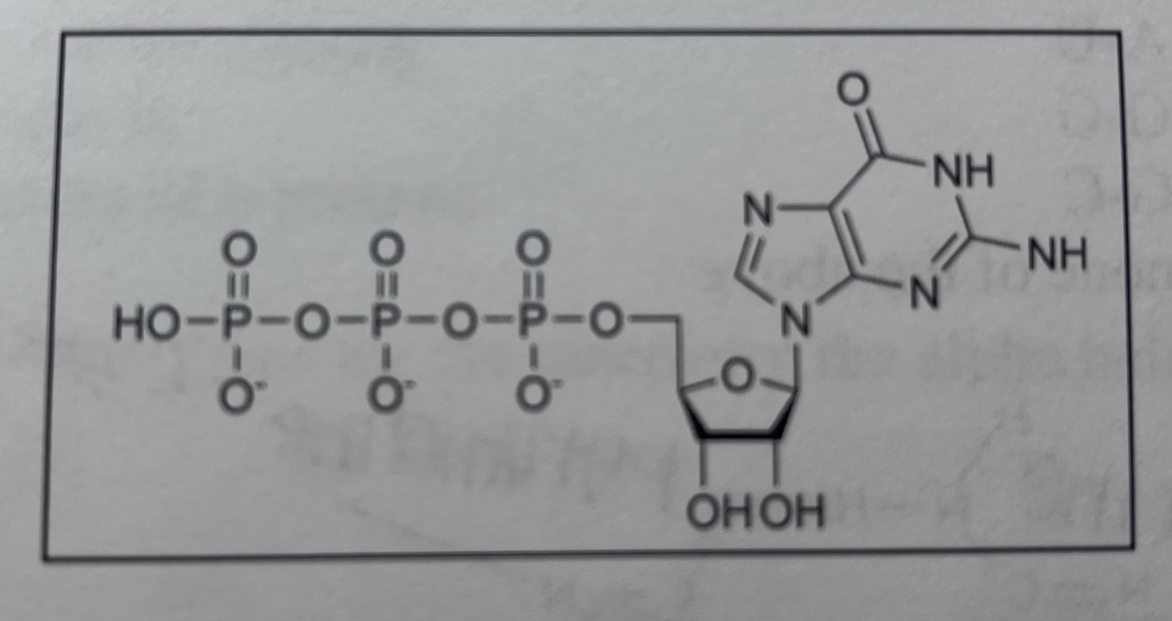 <p>the chemical structure is a subunit of</p><p>a. a protein</p><p>b. membrane</p><p>c. DNA</p><p>d. RNA</p><p>e. fatty acid</p>