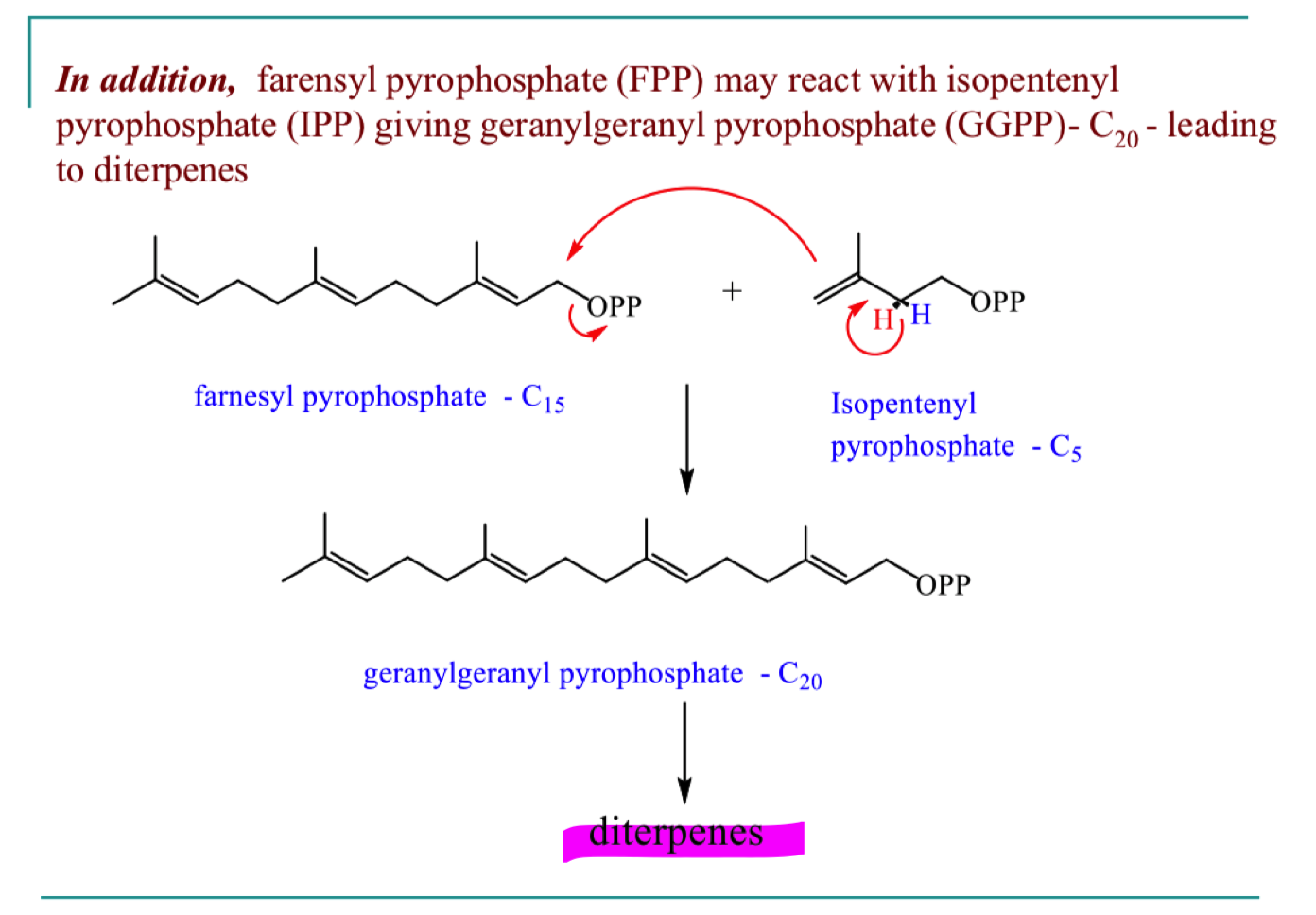 <p>4 x C5 units </p>