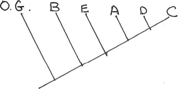 <p>On the tree above, the group (a, d) is</p>