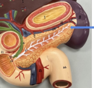 <p>name the parts</p>