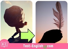 <p>This feather is _____.</p>