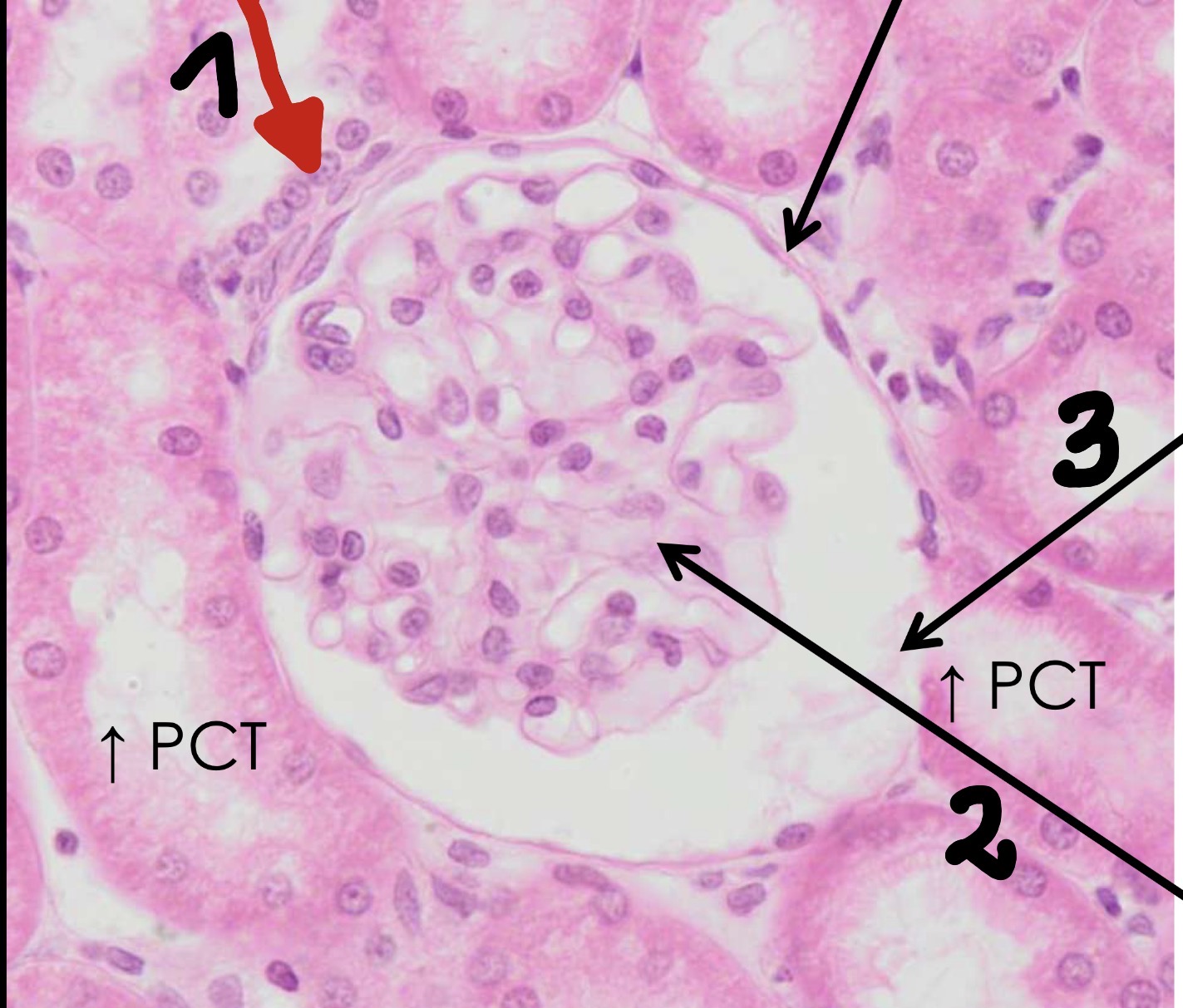 <p>1</p>