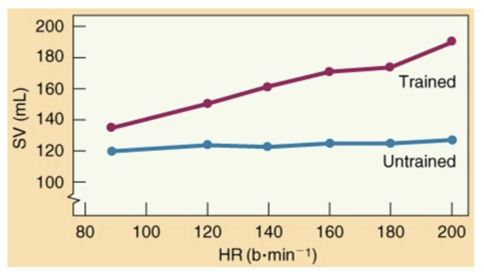 <p>Estimate the cardiac output (in liters/min) for an untrained individual at 100 beats/minute. SV, stroke volume.</p>