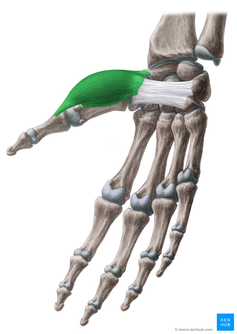 <p></p>