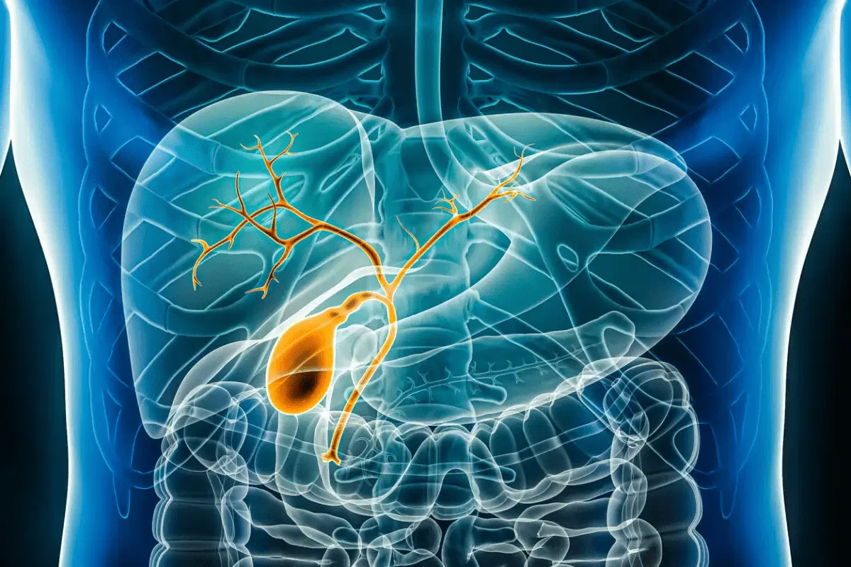 <p>right upper quadrant</p>