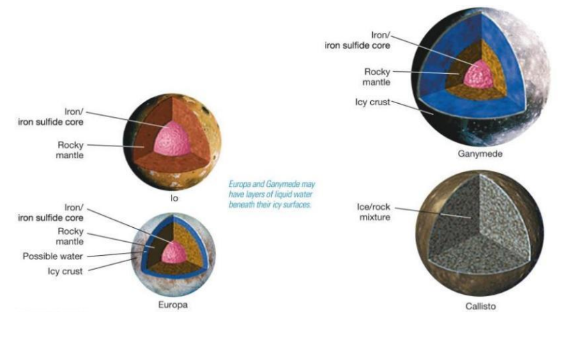 <ul><li><p>Io</p></li><li><p>Europa</p></li><li><p>Ganymede</p></li><li><p>Calisto</p></li></ul><p></p>