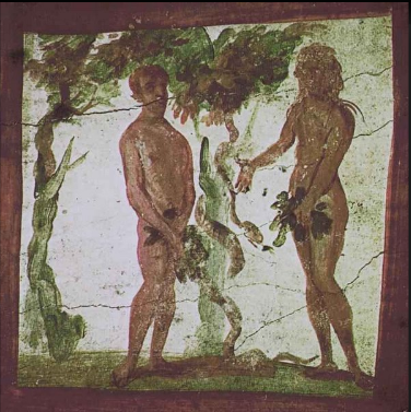 term image