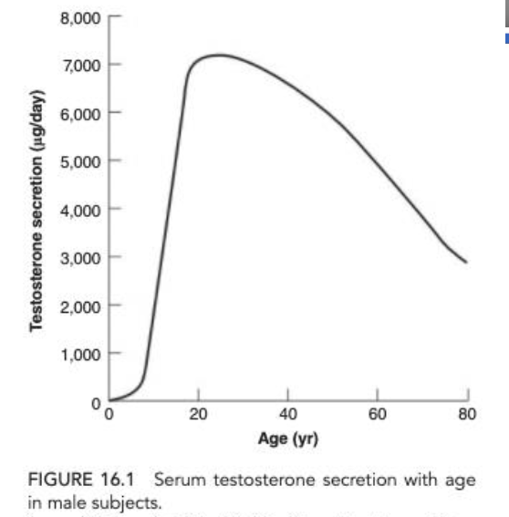 <p><span style=""> Declines with age (serum testosterone)</span></p><p><span style="">Changes in:<br>⢠Lean muscle mass<br>⢠Muscle strength<br>⢠Physical function<br>⢠Exercise performanceh</span></p>