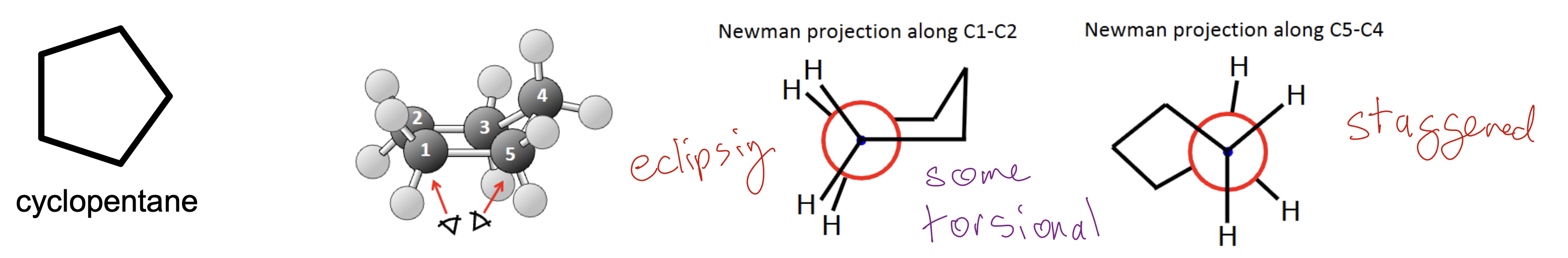 <p>Cyclopentane (5)</p>