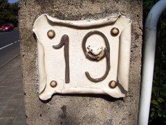 <p>nineteen</p>