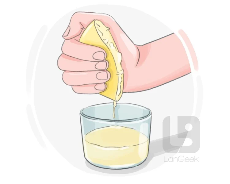 <p>is to apply pressure to something in order to compress it, often resulting in the release of its contents or a change in its shape</p>