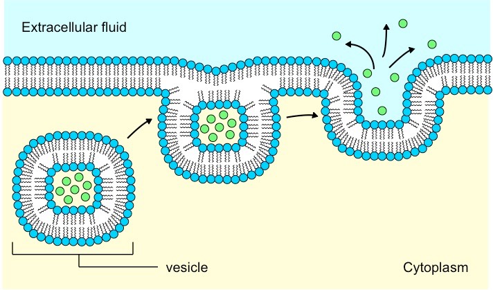<p>What is this an example of? </p>