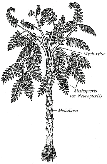 <p> </p>