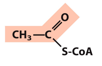 <p>What is this structure?</p>