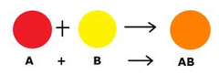 <p>smaller ---> larger</p>