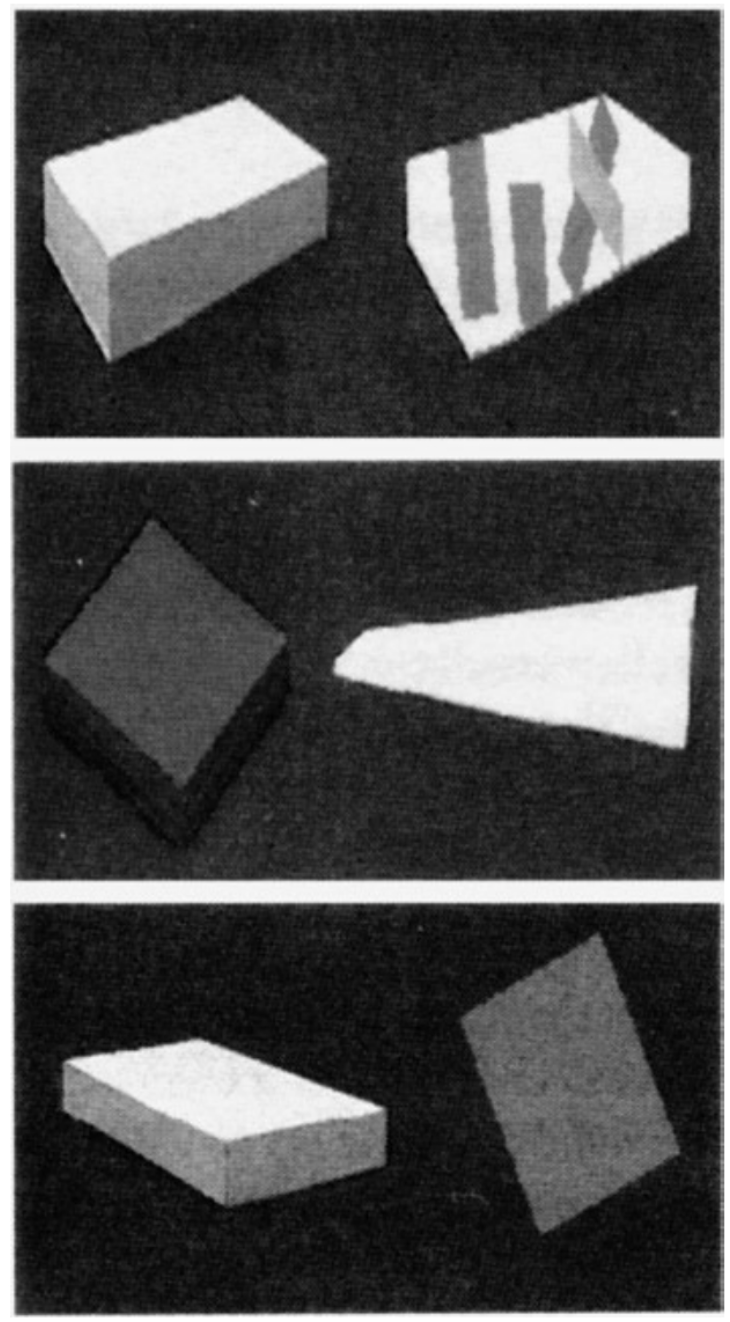 term image