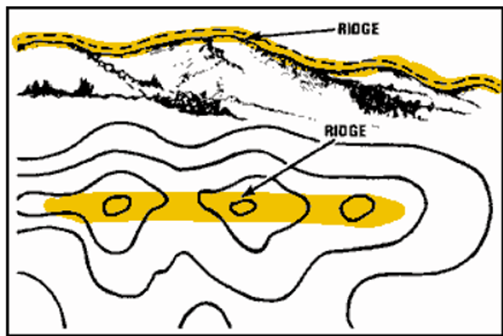 <p>¿Qué es una cresta?</p>