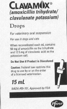 <p>based on the below drug label, what is the concentration of amoxicillin in this suspension?</p>