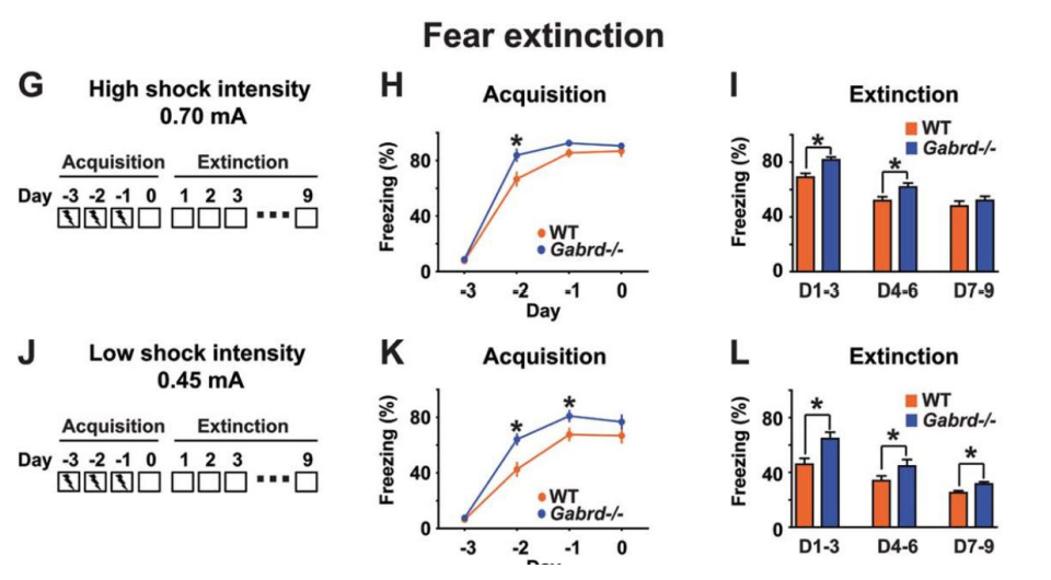 <p>δKO mice might show enhanced fear conditioning, too!</p><div data-type="horizontalRule"><hr></div><ul><li><p>again, delta = presynaptic receptor</p></li><li><p>improved learning + memory in some tasks but not others</p></li></ul><p></p>