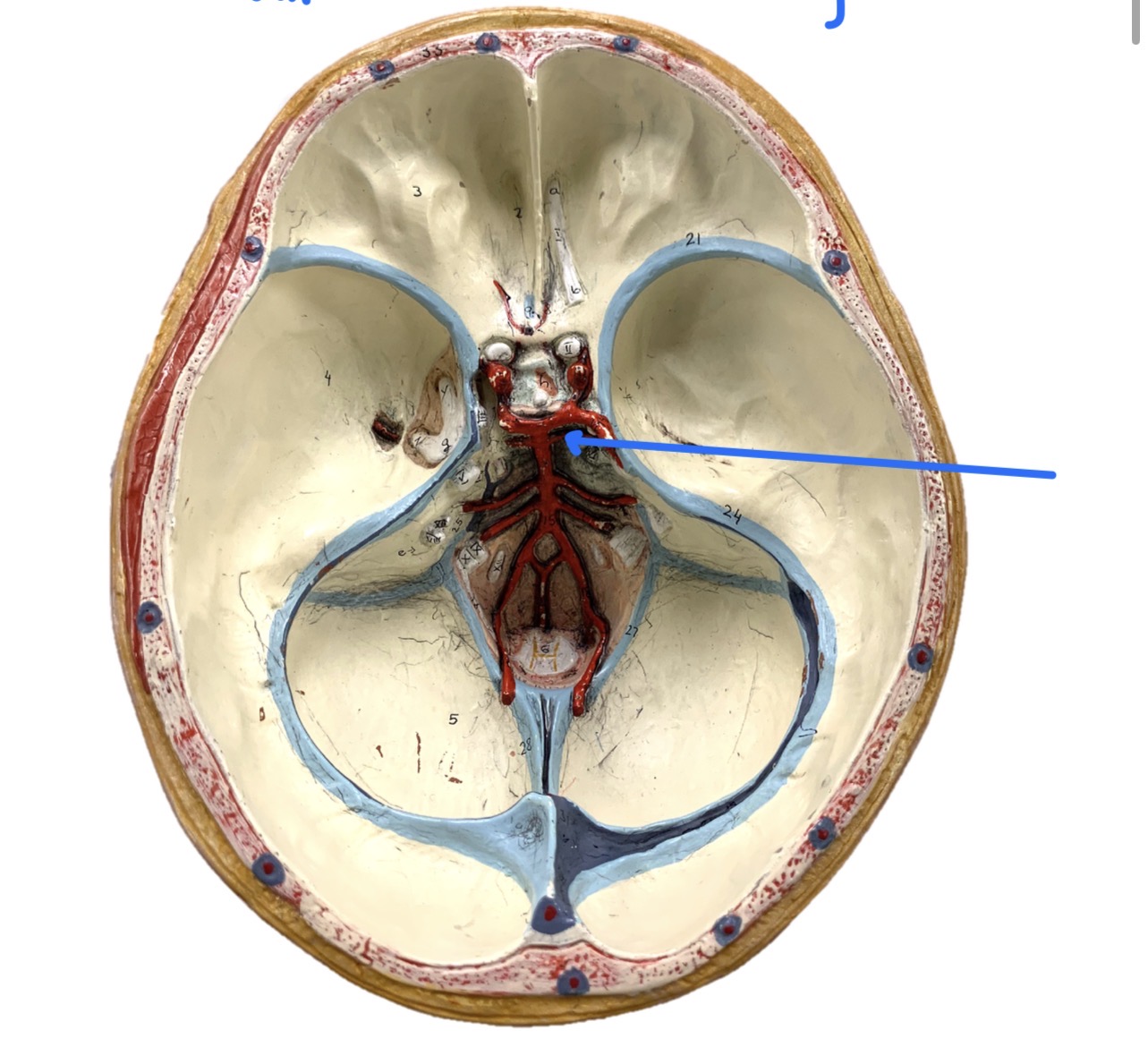 knowt flashcard image