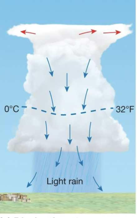 <p>This image shows the _______ stage of an ordinary cell thunderstorm</p>