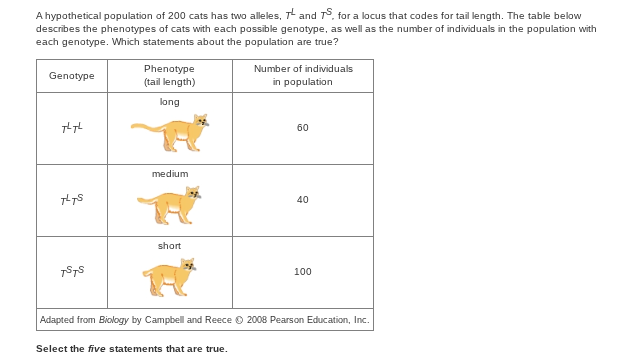 <p>Select the 5 statements that are true</p>