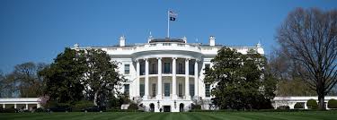 <p>The executive branch</p>