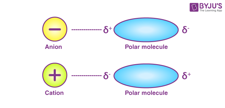 <p>Ion-Dipole Interactions: </p>