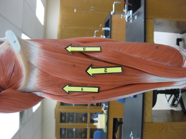 <p>What is at #2?</p>