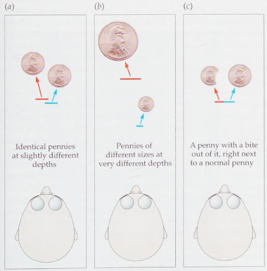 <p>Formalizes the idea that perception is a combination of the current stimulus and our knowledge about the conditions of the world (the theorem allows us to calculate the probability that the world is in a particular state given a particular observation)</p>