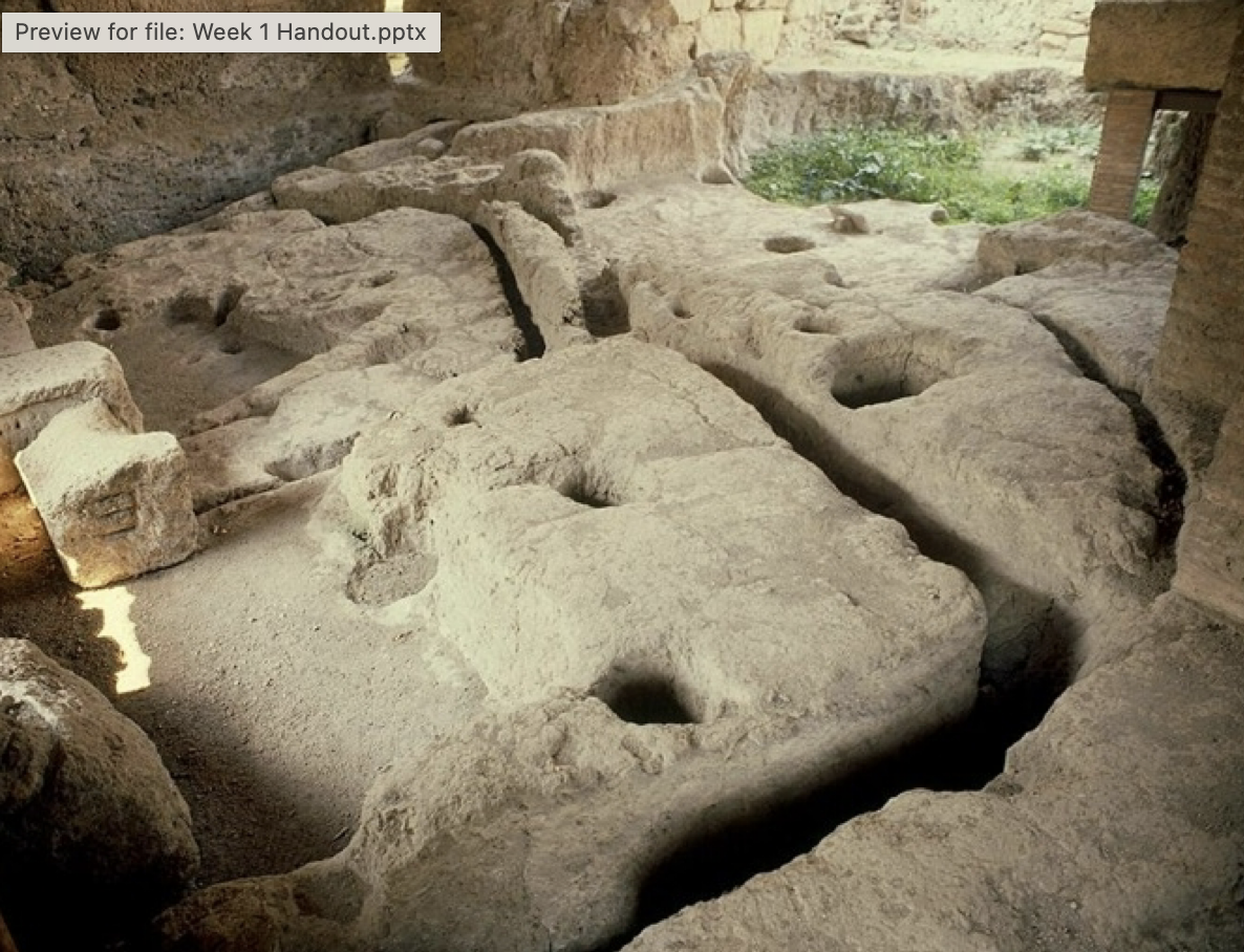 <p>What are the holes in this picture?</p>
