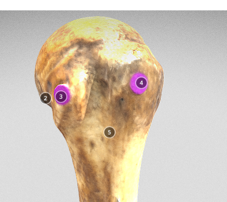 <p>3</p>
