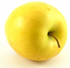 <p>4021 (Lb/Pound)</p>