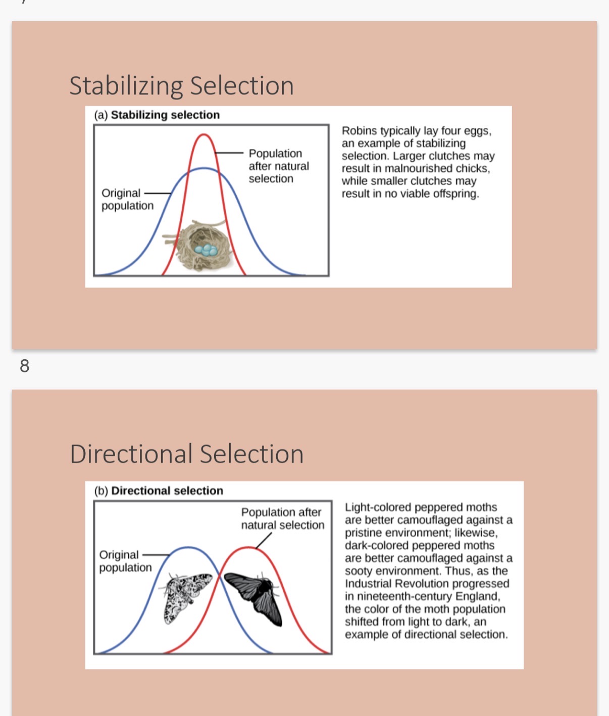 <p>Images contain important info on the types of selection</p><ol><li><p>What is speciation</p></li></ol><p></p>