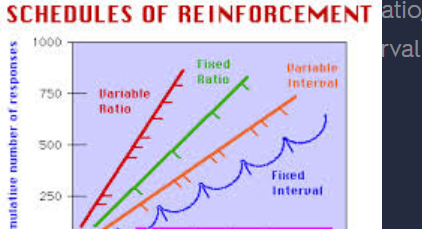 <p>Schedules of reinforcement in operant conditioning</p>