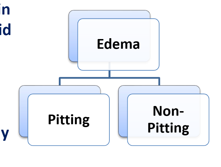 <ul><li><p>Definition: palpable swelling due to expansion of extracellular fluid</p></li><li><p>Two Types: </p><ul><li><p>Pitted </p></li><li><p>Non Pitted</p></li></ul></li></ul><p></p>