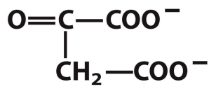 <p>What is this structure?</p>