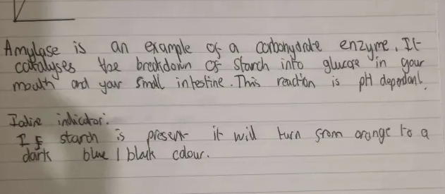 knowt flashcard image