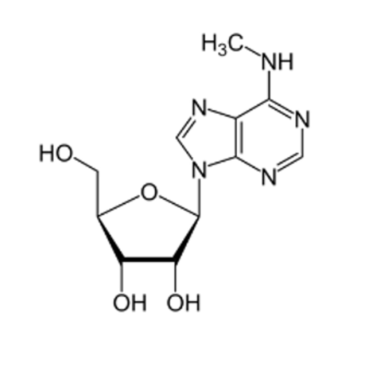 <p>Identify the following modified ribonucleoside:</p><p>A. N6-methyladenosine</p><p>B. 5-methylcytosine</p><p>C. O6-methylguanine</p><p>D. Pseudouracil</p>