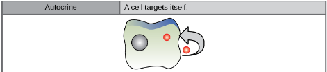 <p>ligand binds to receptor on signaling cell</p>