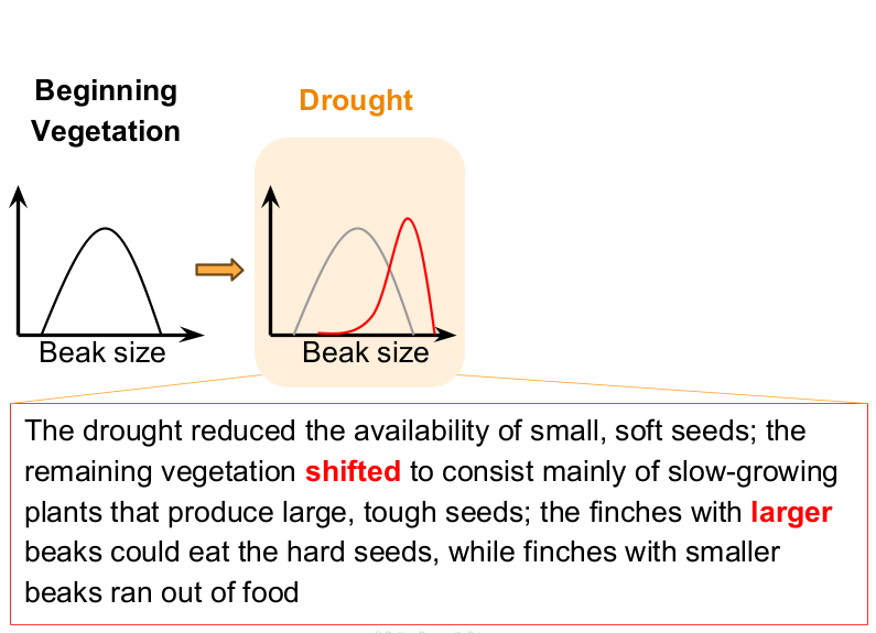 <p>it changed woww</p>