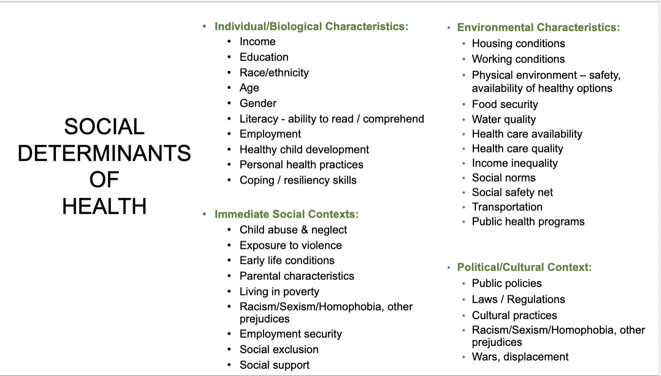 <p>*refer to knowt on definitions of all these social determinants of health</p>