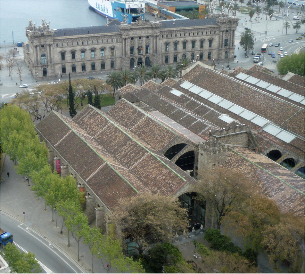 term image